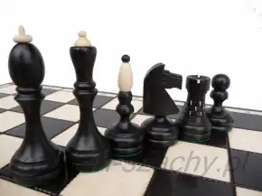 Чёрные и светлые турнирные фигуры